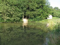 Koupaliště - rybníky