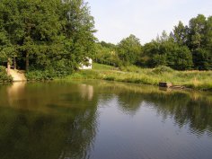 Koupaliště - rybníky