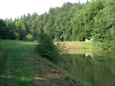 Koupaliště - rybníky