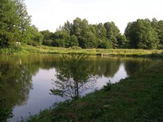 Koupaliště - rybníky