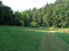 Koupaliště - rybníky