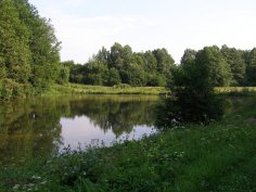 Koupaliště - rybníky