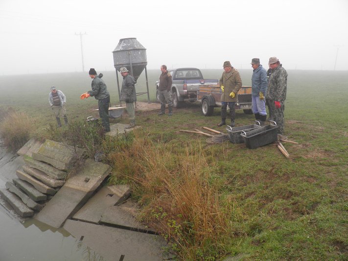 Přelov ryb - 24. října 2015