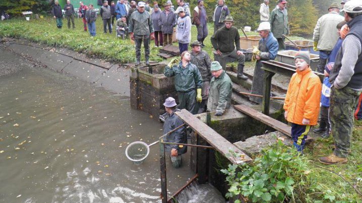 Výlov na koupališti - 20. října 2012