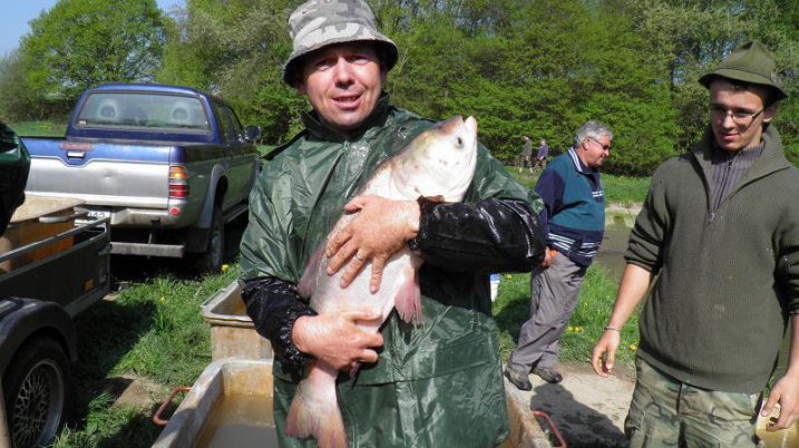 Výlov rybníka v Tatenici - 5. 5. 2012