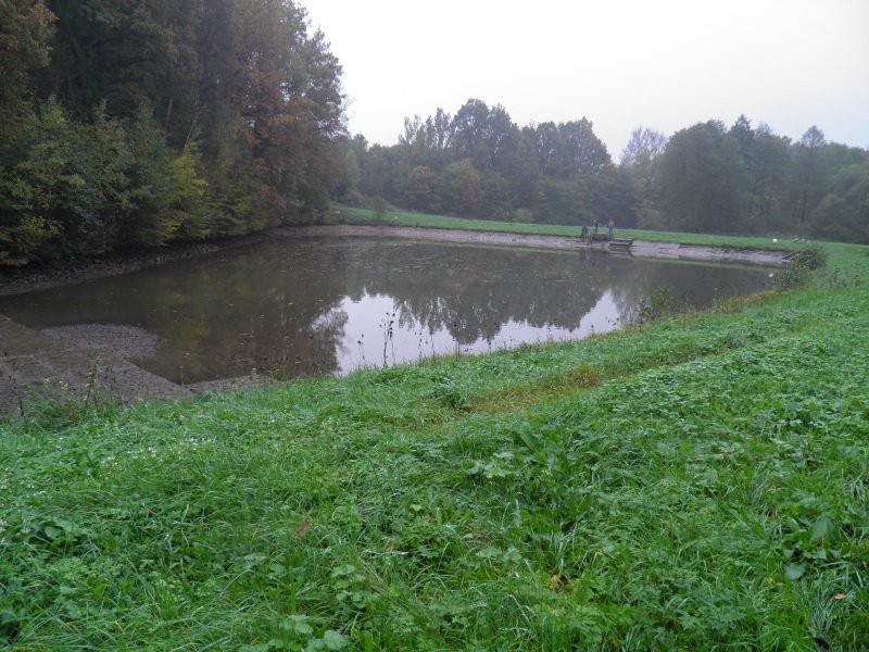 Výlov ryb - 18. října 2014